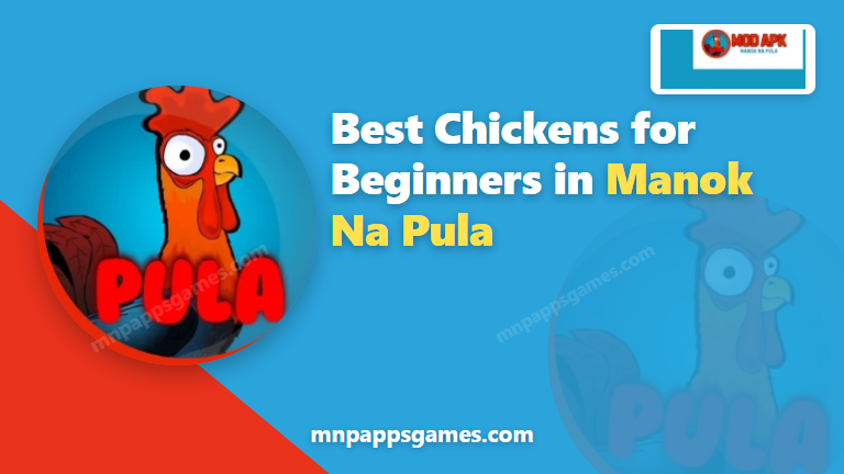 Best chickens for beginners in Manok Na Pula